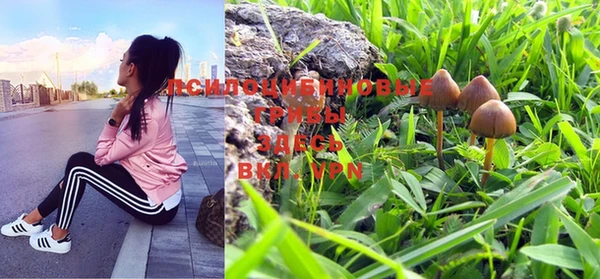 скорость Приозерск