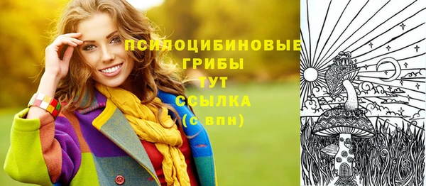 твердый Россошь